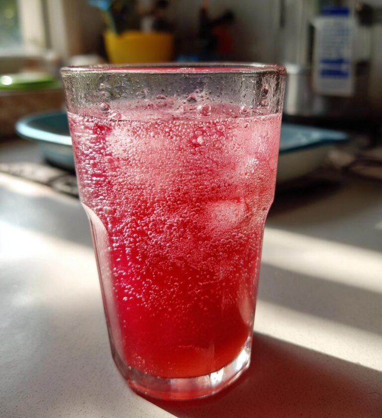 rabarbersaft hemgjord recept