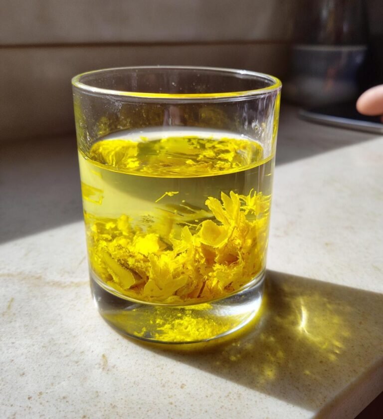 ingefärsshot med citron recept